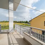 Da Cichin - Free Parking, Wi-fi & Ac - Vicino All'ospedale Carle Di Lejlighed Cuneo